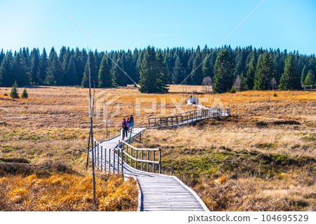 Wooden path in Bozi Dar peat bog nature reservation on sunny autumn day. Ore Mountains, Czech: Krusne hory, Czech Republic 104695529