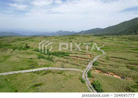 初夏的彌陀原高原 立山黑部阿爾卑斯山脈路線 104695777