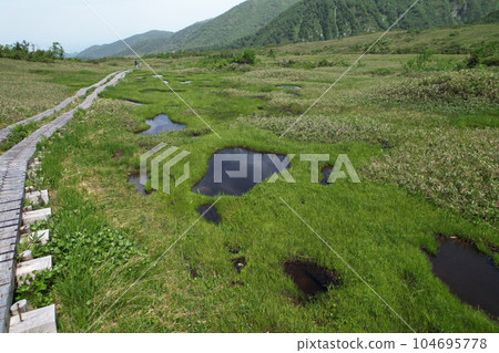 初夏的彌陀原高原 立山黑部阿爾卑斯山脈路線 初夏的彌陀原高原 立山黑部阿爾卑斯山脈路線 104695778