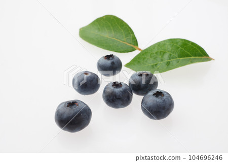 藍莓白色背景 藍莓白色背景 104696246