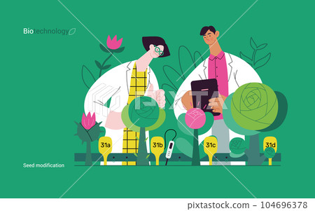 Bio Technology, Seed Modification -modern flat vector concept illustration of scientists analysing genetic modificated variants of a plant. Metaphor of direct impact of GMO on vegetation Bio Technology, Seed Modification -modern flat vector concept illustration of scientists analysing genetic modificated variants of a plant. Metaphor of direct impact of GMO on vegetation 104696378