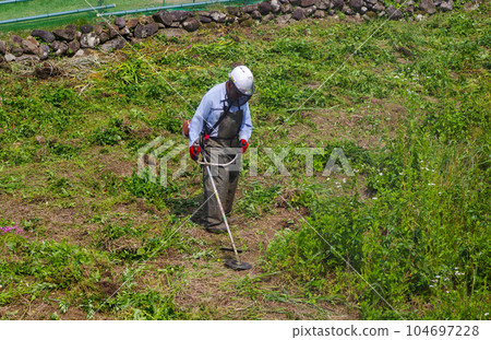 Workers mowing the abandoned farmland 104697228