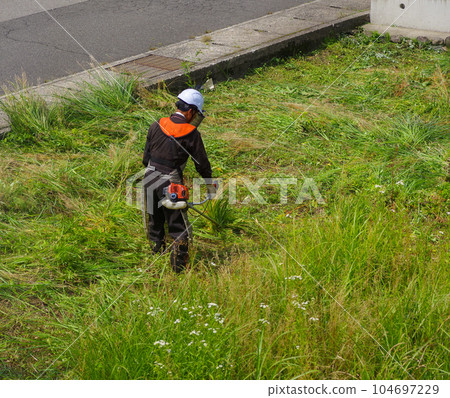 工人們正在修剪廢棄的農田 104697229