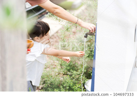 Child washing mini tomatoes 104697333