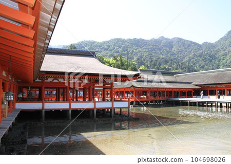 An early summer day in Miyajima, Aki Province 104698026