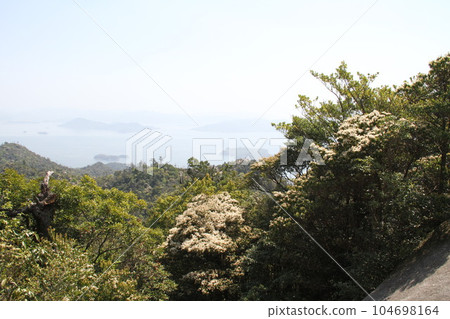 安藝國宮島的初夏的一天 安藝國宮島的初夏的一天 104698164