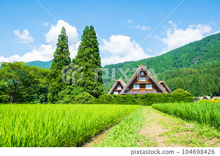 Summer Shirakawa Town Summer Shirakawa Town 104698426