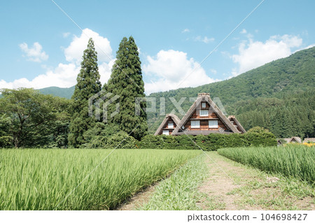 Summer Shirakawa Town Summer Shirakawa Town 104698427