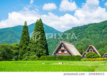 夏川白川鎮 104698433