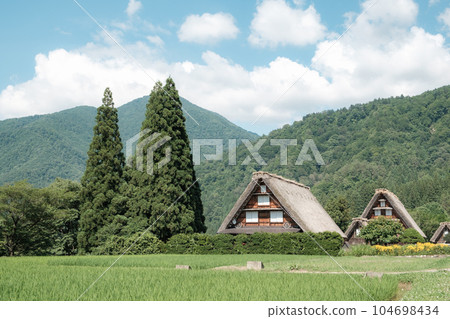 夏川白川鎮 104698434