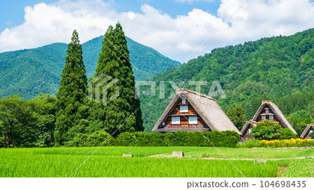 夏川白川鎮 104698435