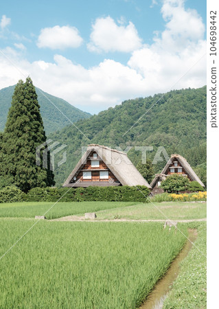 Summer Shirakawa Town Summer Shirakawa Town 104698442