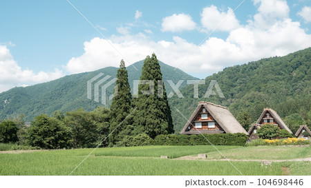 夏川白川鎮 104698446