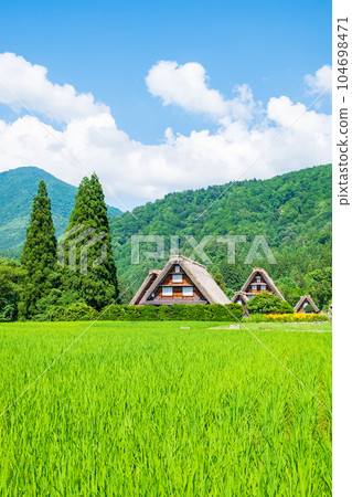 Summer Shirakawa Town Summer Shirakawa Town 104698471