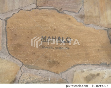 Hawaiian scenery Hawaiian scenery 104699023