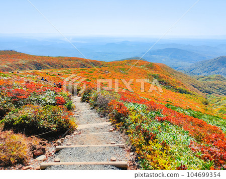 Mt. Kurikoma climbing in autumn (view from the central course) 104699354