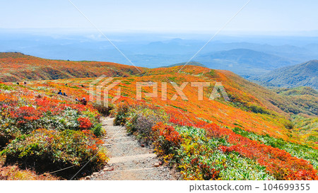 秋季攀登栗駒山（從中央路線眺望） 104699355