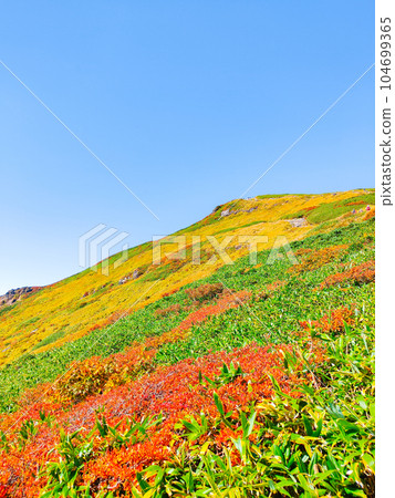 秋天的栗駒山登山(從中央路線看到的山頂) 秋天的栗駒山登山(從中央路線看到的山頂) 104699365
