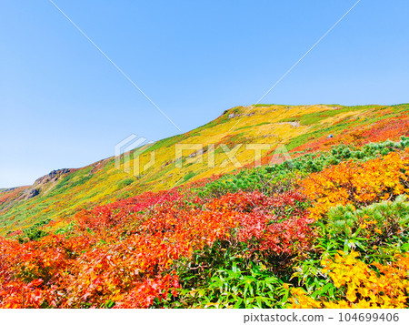 秋天的栗駒山登山(從中央路線看到的山頂) 秋天的栗駒山登山(從中央路線看到的山頂) 104699406