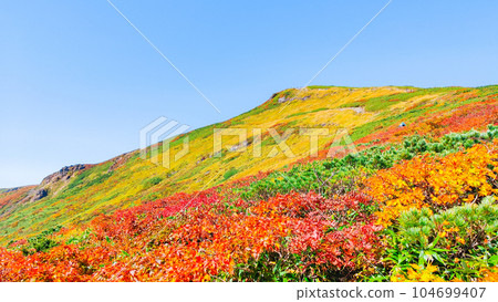 秋天的栗駒山登山(從中央路線看到的山頂) 秋天的栗駒山登山(從中央路線看到的山頂) 104699407