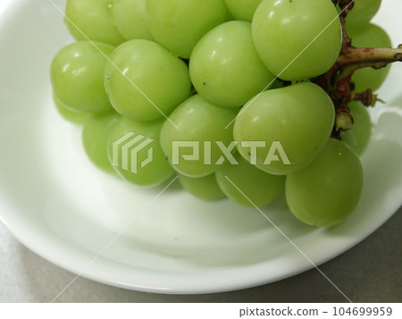 馬斯喀特盛在白盤上 104699959