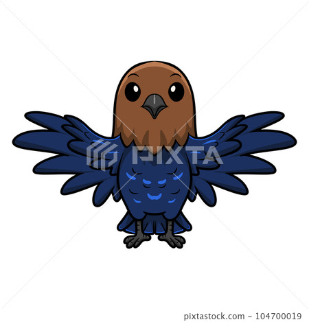 Cute brown headed cowbird cartoon flying 104700019