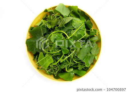 Lvy Gourd leaves on white background. 104700897