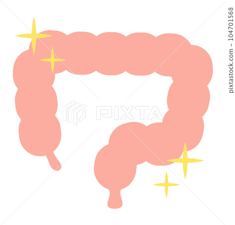 A healthy, shiny and beautiful large intestine A healthy, shiny and beautiful large intestine 104701568