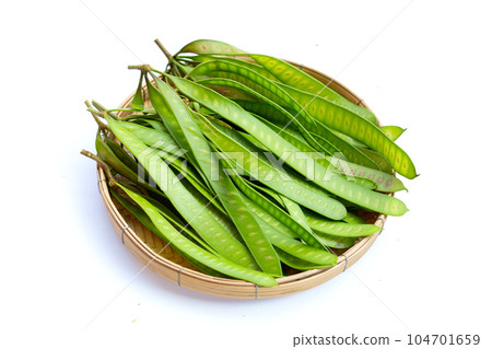 Leucaena leucocephala fruit on white background Leucaena leucocephala fruit on white background 104701659