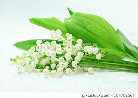 Lily of the valley decorated with lace 104702567