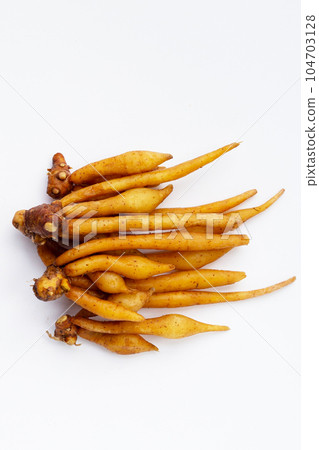 Fingerroot on a white background. 104703128