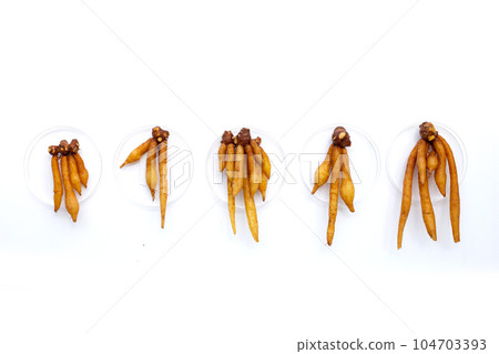 Fingerroot on a white background. 104703393