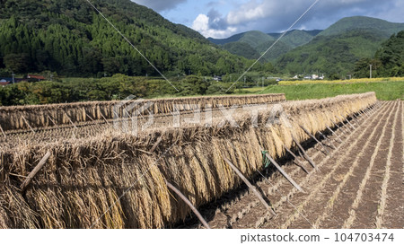 有稻田的風景 104703474