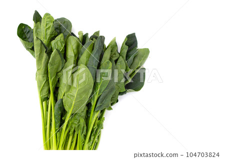 Fresh spinach on white background Fresh spinach on white background 104703824