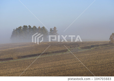Autumn morning fog Biei scenery 104703883