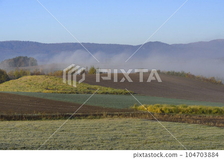 Autumn morning fog Biei scenery 104703884