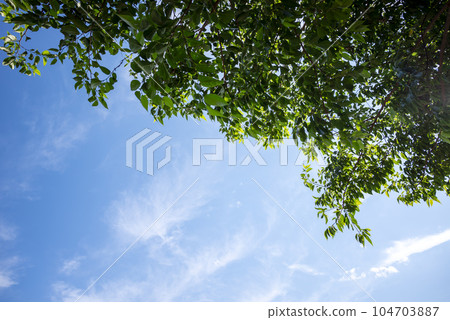 Refreshing summer sky forest mountain landscape image 104703887
