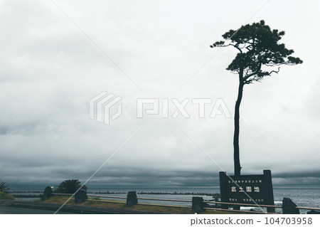 海松和多雲的天空索科多海灘 104703958