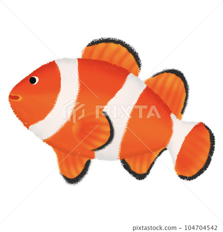 Nemo fish in the sea 104704542