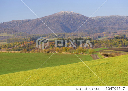 Beautiful scenery of Biei in autumn 104704547