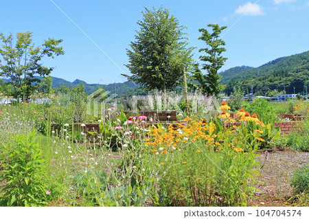 安曇野池田町藥草站花卉與藥草園 104704574