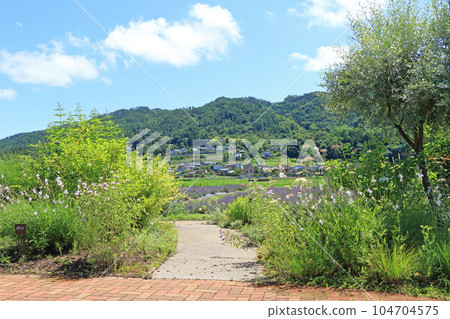 安曇野池田町藥草站花卉與藥草園 104704575