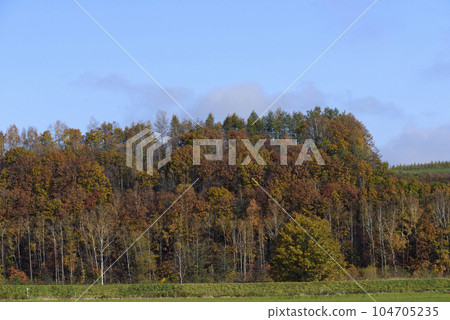 Autumn leaves scenery of Biei 104705235