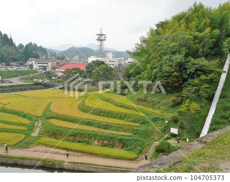 湯水塔(阿羅班瀑布)和“通潤橋”的稻穗 湯水塔(阿羅班瀑布)和“通潤橋”的稻穗 104705373
