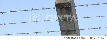 Security barbedwire fence, wire with clusters of short, sharp spikes on concrete pillar 104707167