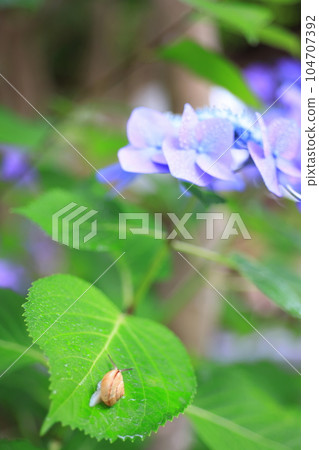 蝸牛2929 蝸牛2929 104707392
