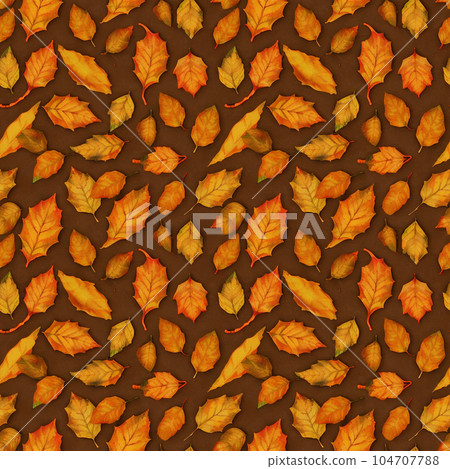 Infinite tiles / Scattered fallen leaf colors 2 Infinite tiles / Scattered fallen leaf colors 2 104707788