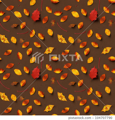 Infinite tiles / Scattered fallen leaf colors 3 104707790