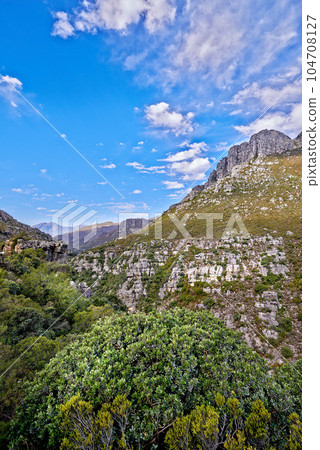 Copy space with mountain landscape against a cloudy blue sky background in Cape Town. Beautiful and calm scenic of lush green plants and trees around a majestic rocky valley on a sunny day in nature Copy space with mountain landscape against a cloudy blue sky background in Cape Town. Beautiful and calm scenic of lush green plants and trees around a majestic rocky valley on a sunny day in nature 104708127