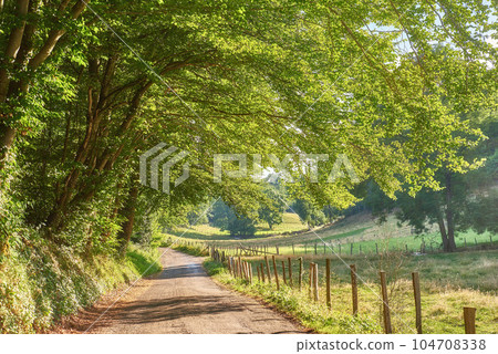 A countryside dirt road leading to agriculture fields or farm pasture in remote area location with serene and vibrant trees. Landscape view of quiet, lush, green scenery of farming meadows in France A countryside dirt road leading to agriculture fields or farm pasture in remote area location with serene and vibrant trees. Landscape view of quiet, lush, green scenery of farming meadows in France 104708338